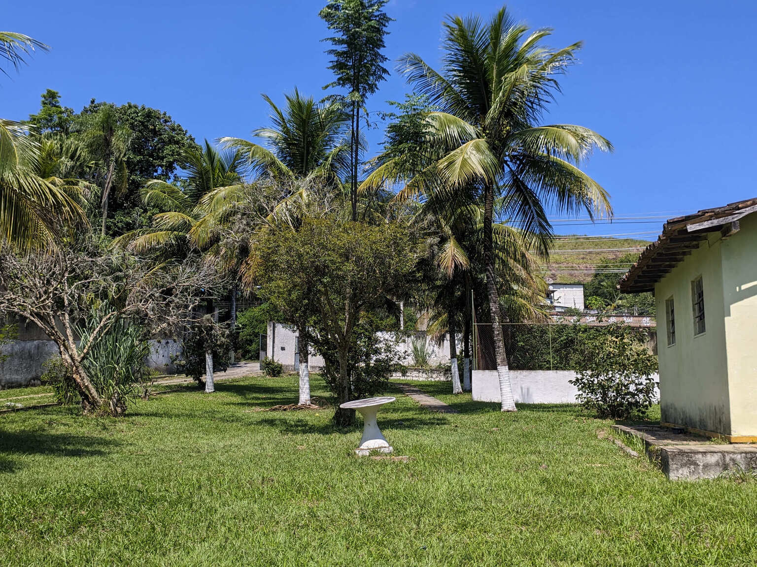 Jardins Arborizados